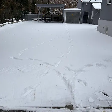 Landleben In Ferch Schwielowsee